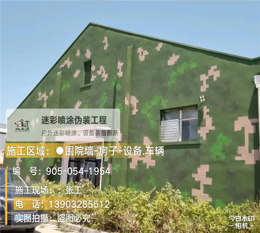 揭阳外墙数码迷彩漆施工报价清单（100㎡标准墙面测算）